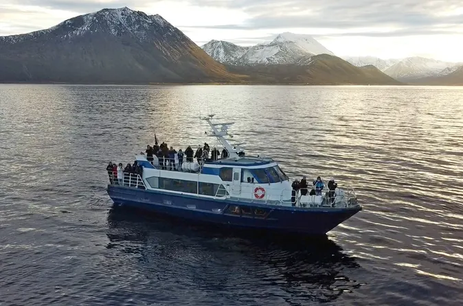 All-inclusive Wal- und Orca-Safari