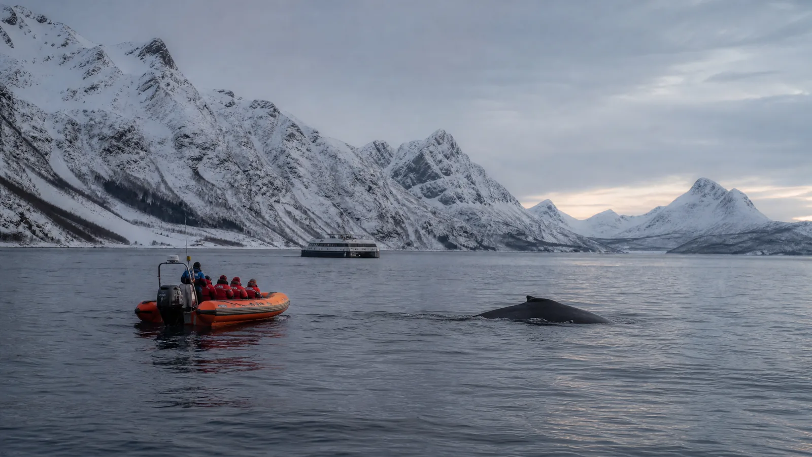 Illustration eines kleinen RIB in einem Fjord mit einem größeren Katamaran dahinter und einem auftauchenden Wal