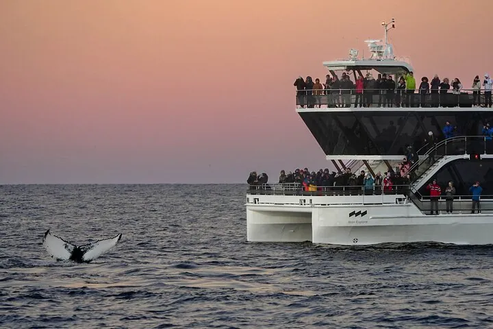 Un grand catamaran hybride avec des passagers sur ses ponts ouverts au crépuscule, une nageoire caudale de baleine dans l'eau à côté